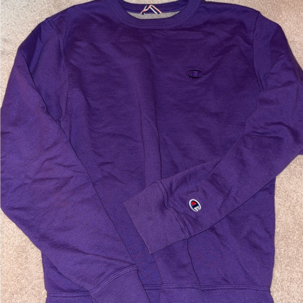 Champion Men's Crewneck in Rich Purple
